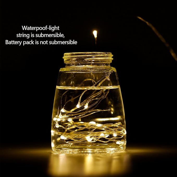 LIIDA LED Fairy String Lights, 12-Pack 20 Micro Lights On Silver Copper Wire (Batteries Include) for DIY Wedding Centerpiece, Mason Jar Craft, Christmas Tree, Garlands, Party Decoration (Warm White)