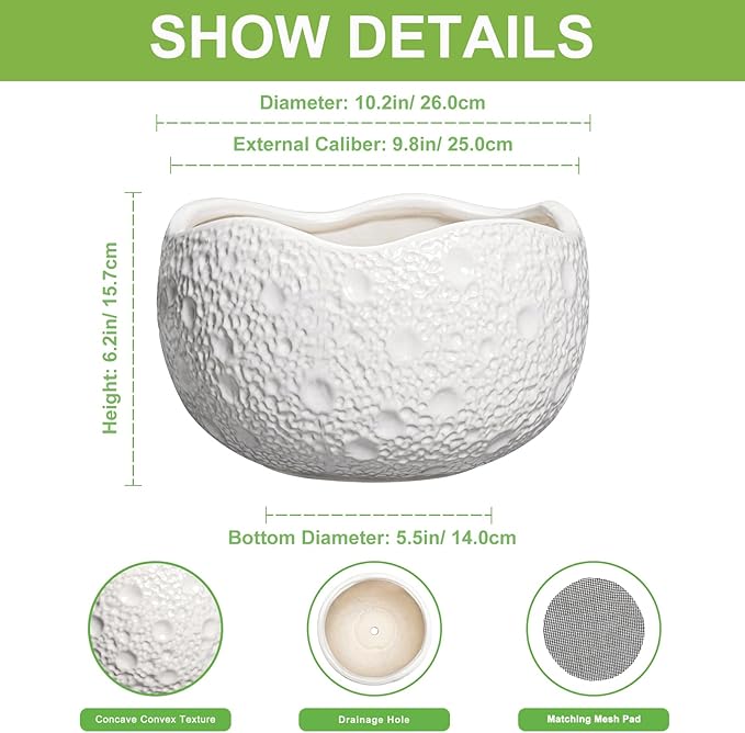 Thirtypot 10 Inch Plant Pot - Ceramic Planter for Indoor Outdoor, Round Bonsai Pots, Decorative Flower Pots with Drainage Hole, Modern Unique Planters, House Decor, Home Gifts, White