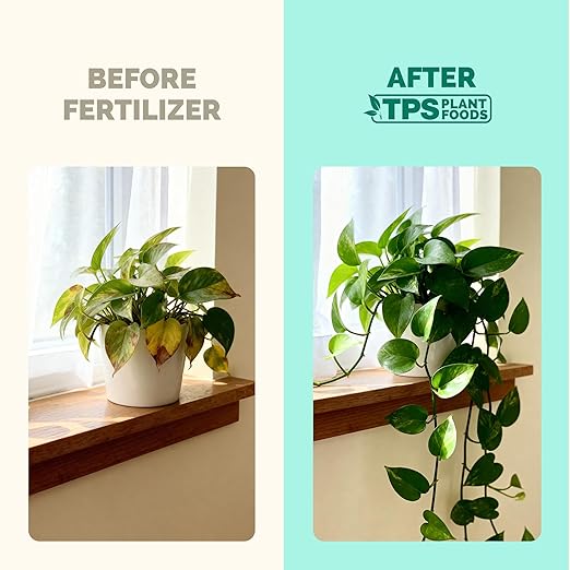 TPS NUTRIENTS Indoor Plant Food for Houseplants, Liquid Fertilizer, 1 Gallon (128 oz)