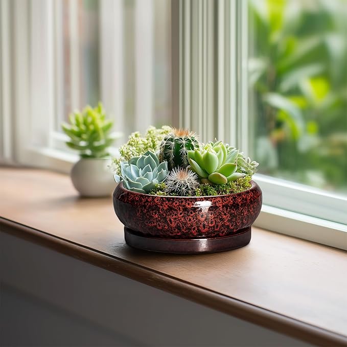 EPFamily Succulent Planters 6 Inch - Ceramic Bonsai Pots with Drainage Hole and Saucer, Small Bonsai Planter, Round Planter Bowl, Shallow Plant Pots Indoor, Room Decor, Gifts for Plant Lovers, Red