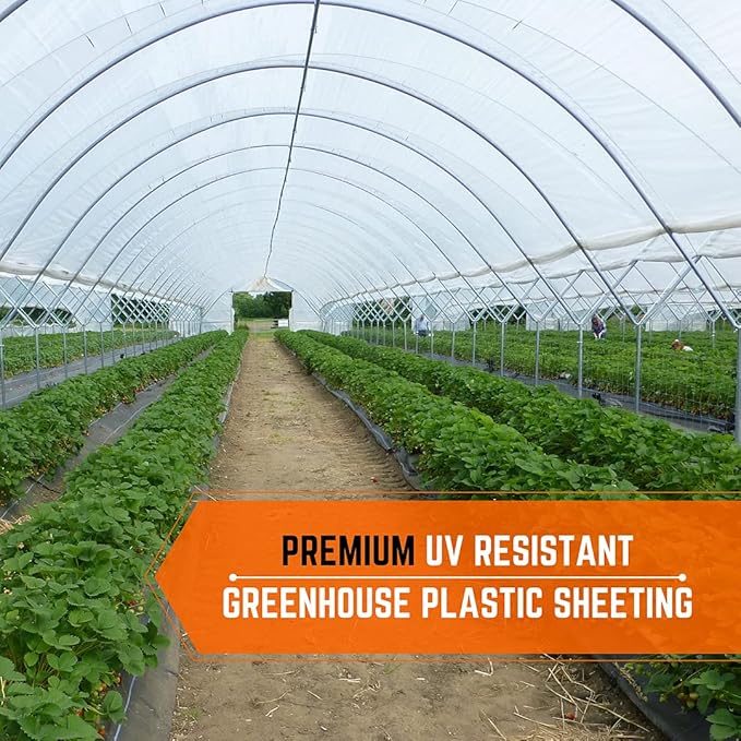 Farm Plastic Supply - Clear Greenhouse Plastic Sheeting - Ultra Durable - 8 mil - (50' x 30') - 4 Year UV Resistant Polyethylene Greenhouse Film for Gardening, Farming, Agriculture