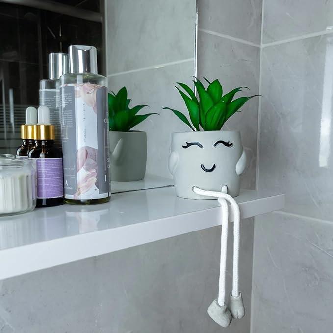 OLEEK Small Fake Plant Office Desk Decor - Desk Plants for Office Decorations for Work - Decorative Plants Decor - Funny Office Decor for Women - Fake Succulents Plants Artificial Home Decor Shelf