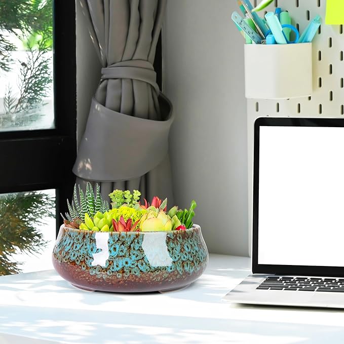 ARTKETTY Succulent Pots - 8 Inch Plant Pot, Large Bonsai Pots with Drainage, Ceramic Planters for Indoor Outdoor Plants, Round Shallow Cactus Flower Plant Container Bowl Decorative Home Garden
