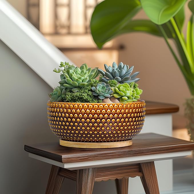 EPFamily Bonsai Pots - 8 Inch Succulent Bowl for Indoor Plant, Shallow Round Ceramic Planters with Drainage Hole and Saucer, Boho Home Room Office Apartment Decor, Plant Lovers Gifts, Brown
