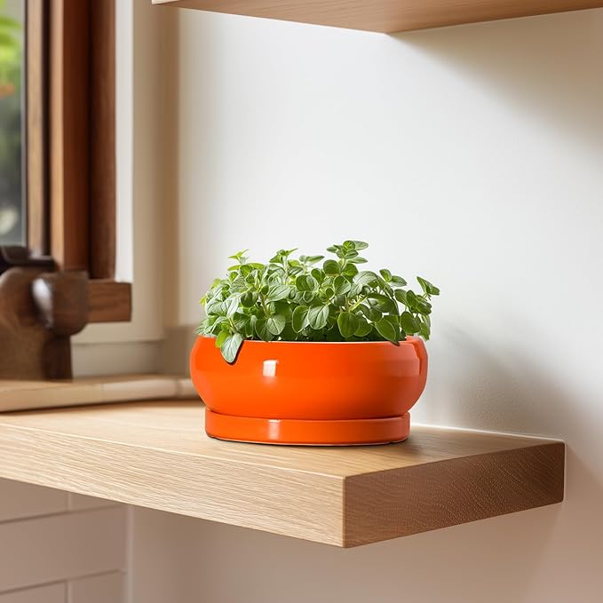 EPFamily Succulent Planters 6 Inch - Small Bonsai Pots Ceramic, Succulent Pots with Drainage Hole and Saucer, Shallow Planters Indoor Outdoor, Round Cactus Pot, Office Decor, Gardening Gift, Orange