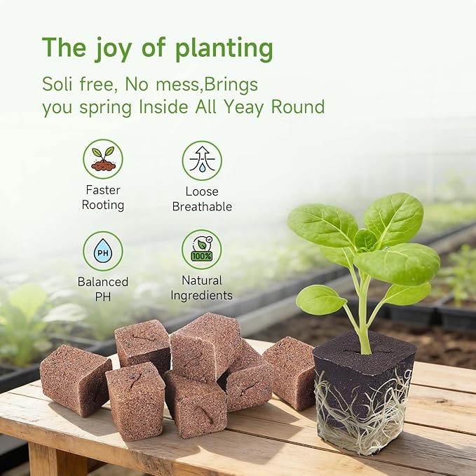 50 Packs Cuttage Grow Sponges, Pods Root Growth Sponge Eco Friendly PH Balance, Square Sponge Replacement Part Seedling Starter Sponges for Hydroponic Indoor Garden System Cuttage Rooting
