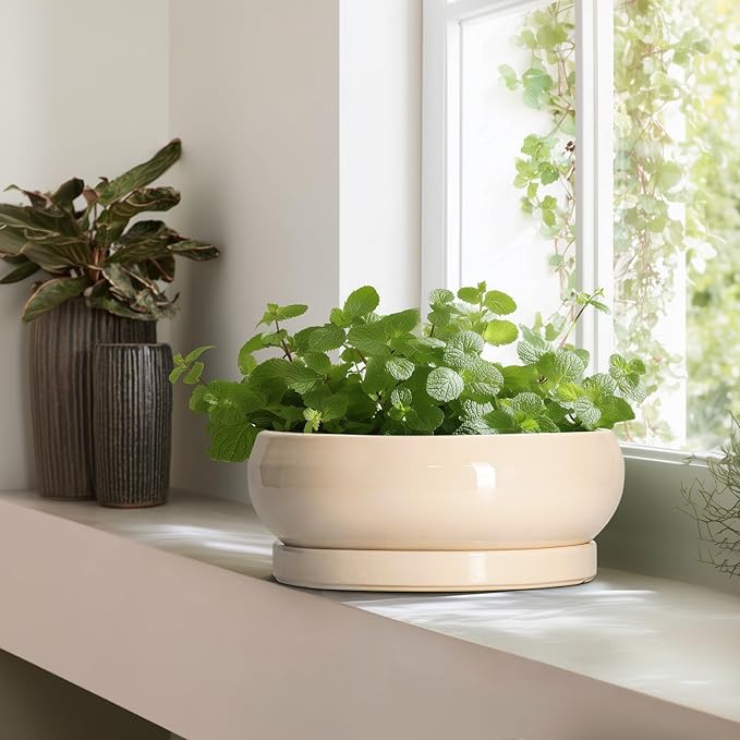 EPFamily Large Succulent Planters - 13 Inch Ceramic Bonsai Pots Indoor Outdoor, Shallow Planter with Drainage Hole and Tray, Round Planter Bowl, Large Bonsai Pot, Home Decor, Housewarming Gift, Beige