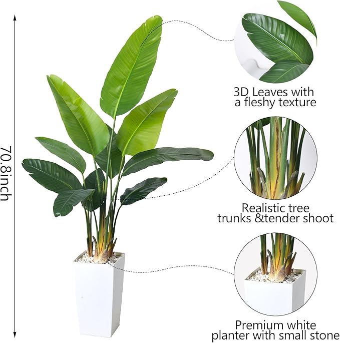 HAIHONG Bird of Paradise Artificial Plant 6FT, Faux Tropical Palm Tree with White Tall Planter, Large Fake Plants in Pot - Artificial Tree for Home Office Living Room Decor Indoor