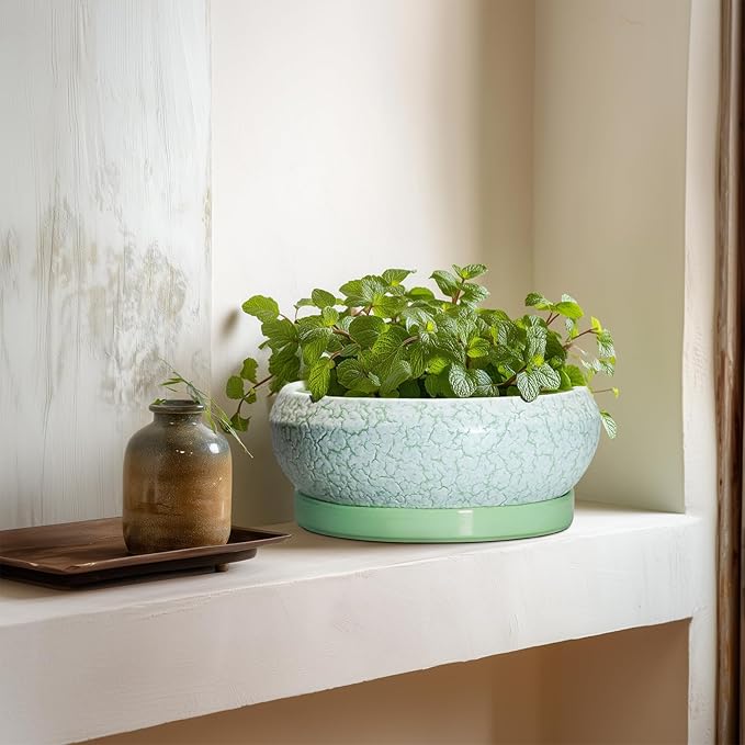 EPFamily Bonsai Pots Ceramic - 8 Inch Succulent Pots Indoor Outdoor, Shallow Planters with Drainage Hole and Tray, Ceramic Planter Bowl, Round Planter, Apartment Decor, Gifts for Plant Lovers, Green