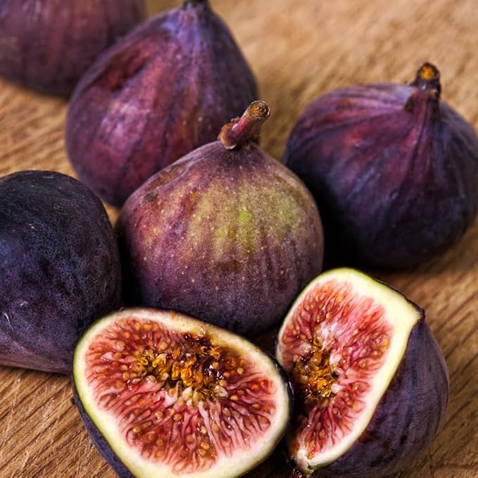 Fig Tree Brown Turkey Live for Sale (4 Pack) | Easy to Grow Plants | Edible Fruit Plant for Sustainable Living | Grow Your own Food on Your Edible Organic Garden| Live for Planting| No Seeds