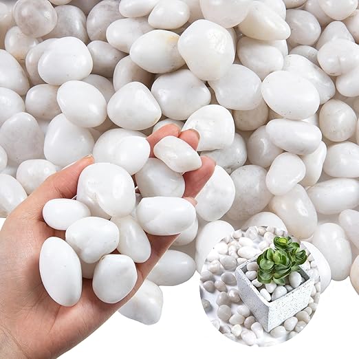 Lechloris 10LB White River Rock- High Polished Pebbles for Indoor Plants- Decorative Stones for Aquarium Fish Tank - White Rocks for Outdoor Garden Landscaping - 0.3"-0.8"