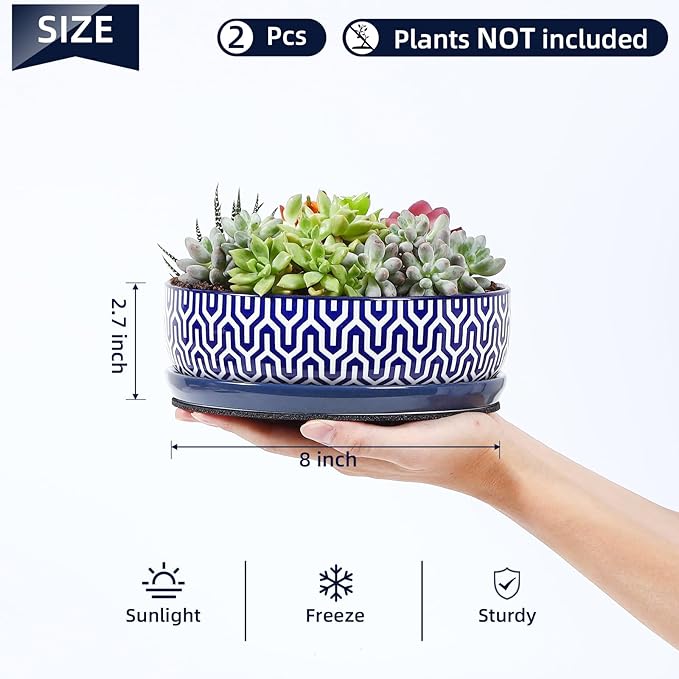 Selamica Ceramic Succulent Pots, Shallow Succulent Planters with Drainage Hole & Saucer, Indoor Plant Pots for Cactus, Home Decor，Vintage Blue, 8 inch，Set of 2