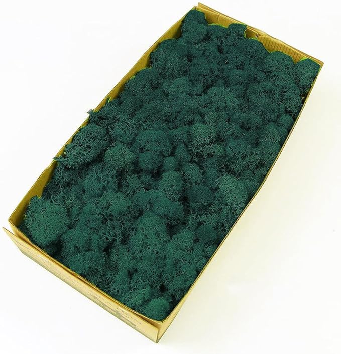 prefleur Preserved Reindeer Moss Natural Green DIY Kit Gardenning Art Wall Decor Florist Decor Easter Table Decor Wedding