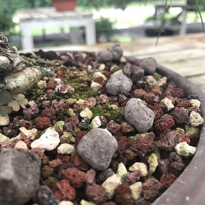 Imported Fresh Japanese Omakase Bonsai Fertilizer Slow Release Pellets (Medium)