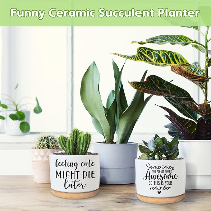 You're Awesome Funny Succulent Plant Pot, Cute 3.5 Inch Small Ceramic Cactus Planter Pot with Drainage, Home Office Desk Decor for Friends Coworker Birthday Christmas Housewarming Gifts (No Plants)