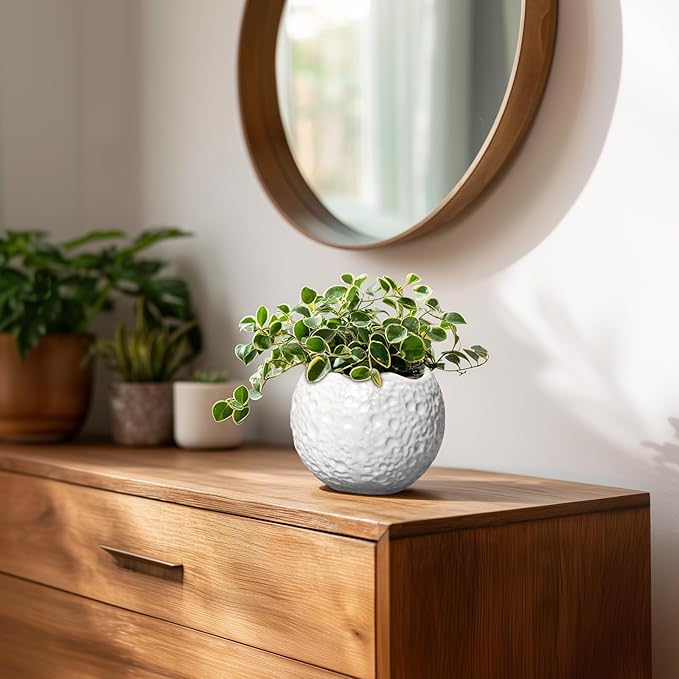 Thirtypot 4 inch Plant Pots - Ceramic Pots for Plants with Drainage Hole, Small Planter for Indoor Outdoor, Unique Succulent Pot, Decorative Modern Round Planter, Desk Decor, Plant Lover Gifts, White