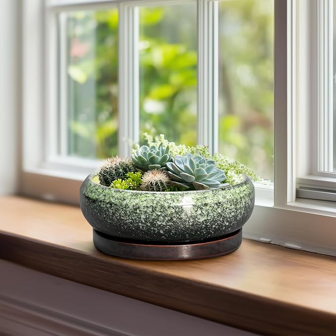 EPFamily Bonsai Pots 8 Inch - Ceramic Succulent Pots with Drainage Hole and Saucer, Shallow Plant Pot for Indoor Outdoor, Bonsai Tree Pots, Round Planter Bowl, Home Decor, Gift for Plant Lover, Green