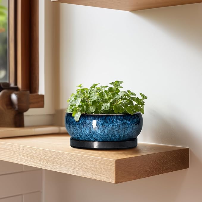 EPFamily Succulent Pots - 6 Inch Ceramic Bonsai Pots with Drainage Hole and Saucer, Shallow Planter for Indoor Outdoor, Round Succulent Planter, Cactus Pot, Office Decor, Gifts for Plant Lovers, Blue