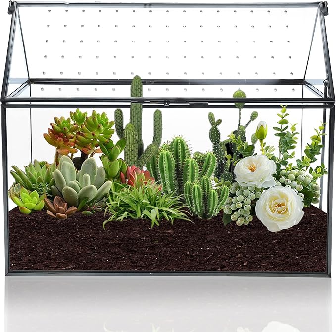 HighFree Geometric Glass Terrarium with Acrylic Lid, House Shape Black Terrarium with Breathing Holes for Snails, Succulent, Cacti, Air Plants, 10.3x8.3x5.9 inch (Terrarium Only)