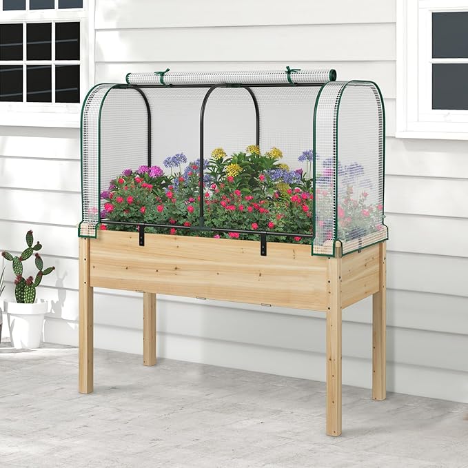 Toolsempire Raised Garden Bed with Greenhouse, Waterproof Sun-Protective Green House with Roll-Up Door & Electroplated Metal Frame, Fir Wood Elevated Planter Box with Drainage Holes(White+Natural)