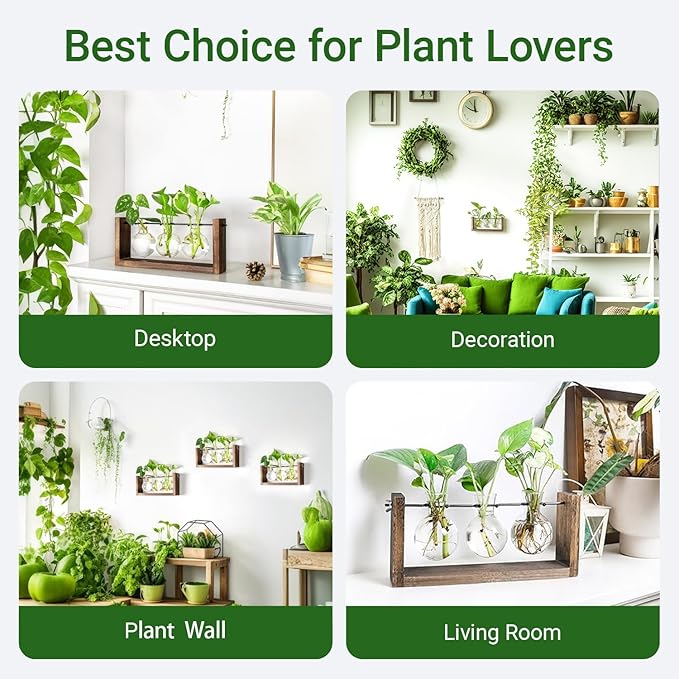 Propagation Station, Plants Terrarium, Plants Lover Gifts for Women,Plant Cutting Holder Home décor,Gifts for Women,House Warming New Home-3 Bulbs-Mounted