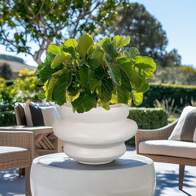 Teagas Ceramic Plant Pots Bonsai 10.6 Inch - Flower Pots for Indoor Plants, Large Plant Pots with Drainage Hole, Decorative Planter Outdoor Flower Pot for Office, Gift for Men Women, White