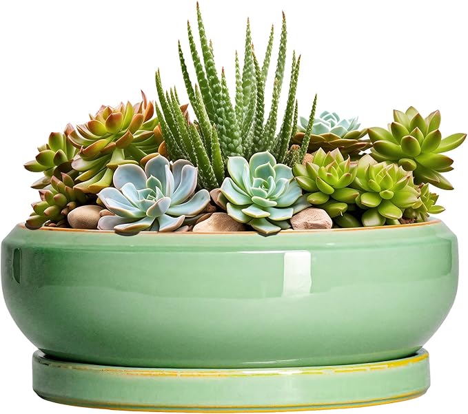 EPFamily Succulent Planters - 8 Inch Ceramic Bonsai Pots with Drainage Hole and Plant Tray, Round Planter for Indoor Outdoor Plants, Shallow Planter Bowl, Room Decor, Housewarming Gifts, Light Green