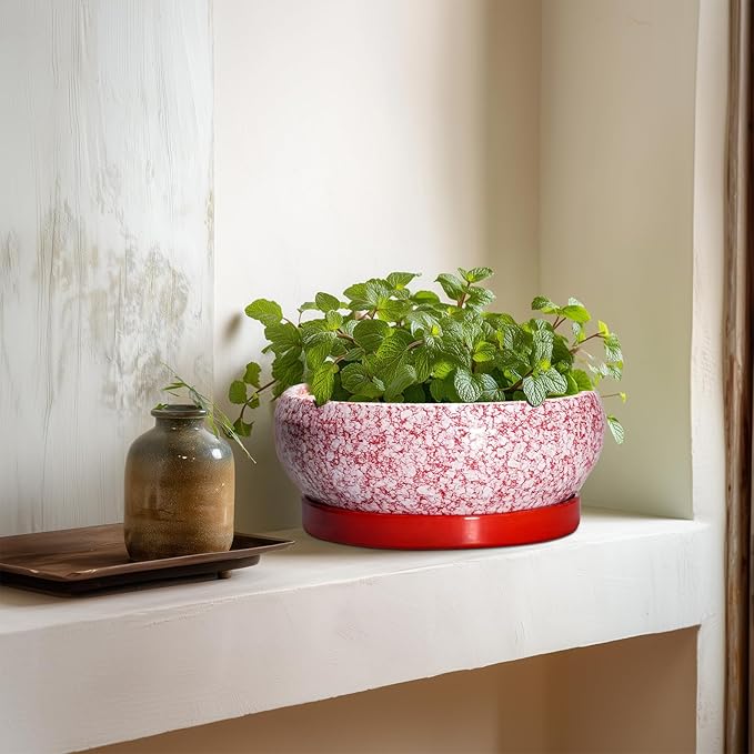EPFamily Succulent Pots - 8 Inch Bonsai Pots for Indoor Outdoor, Shallow Ceramic Planter with Drainage Hole and Saucer, Round Flower Succulent Planters, Room Decor, Gifts for Plant Lovers, Red
