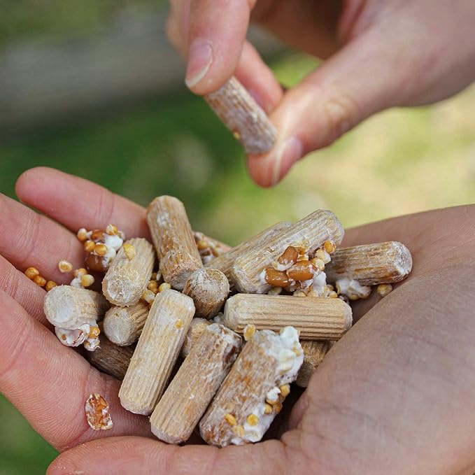 North Spore Organic Shiitake Outdoor Mushroom Log Growing Kit | Includes 100 ct. Bag of Plug Spawn | Complete Log Starter Kit with Instructions | Handmade in Maine, USA