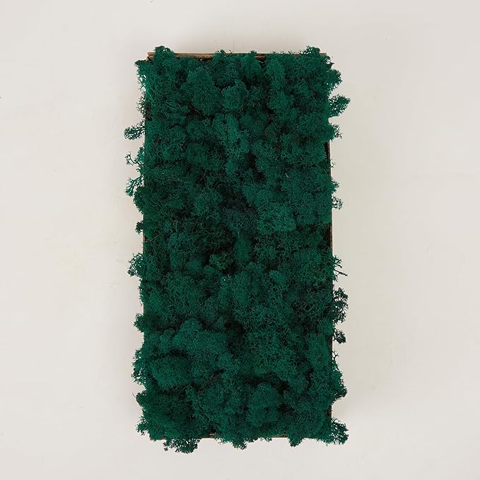 prefleur Preserved Reindeer Moss Natural Green DIY Kit Gardenning Art Wall Decor Florist Decor Easter Table Decor Wedding
