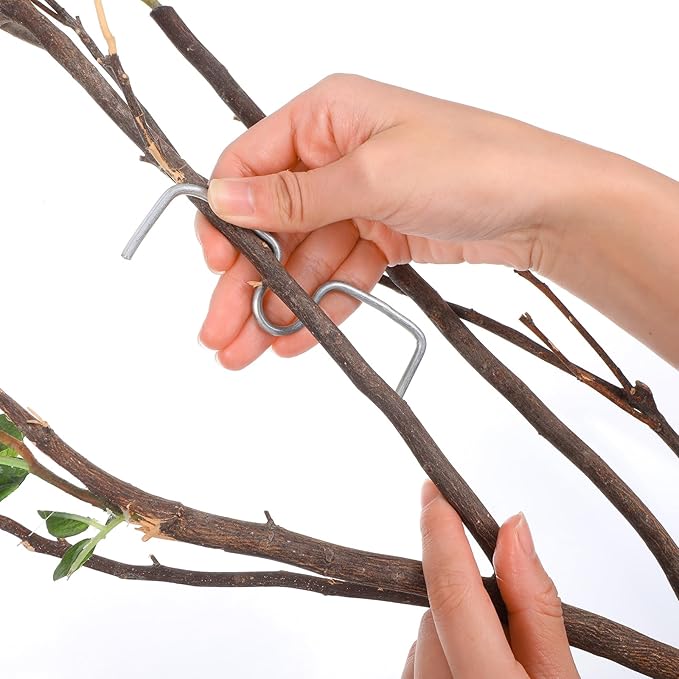 100 Pcs Fruit Tree Branch Puller, Stainless Steel Plant Tying Machine, Branch Spreader Shaping Tools New Plum Tree Open Angle Bending Clip for Orchards Bending Tool, M Size-4.14 Inch