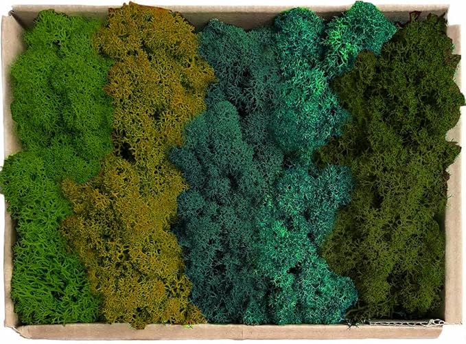 prefleur Preserved Reindeer Moss Natural Green DIY Kit Gardenning Art Wall Decor Florist Decor Easter Table Decor Wedding