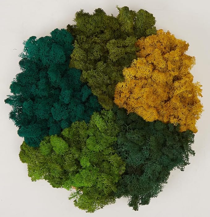 prefleur Preserved Reindeer Moss Natural Green DIY Kit Gardenning Art Wall Decor Florist Decor Easter Table Decor Wedding