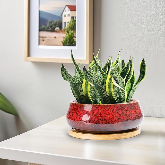 ARTKETTY Succulent Pots - 8 Inch Plant Pot, Large Bonsai Pots with Drainage Tray, Ceramic Planters for Indoor Outdoor Plants, Round Shallow Cactus Flower Plant Container Bowl Decorative Home Garden