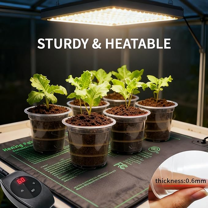 Plgardpo Clear Nursery Pots, 5/6/7 Inch Transparent Plastic Plant Pots with Drainage Holes, Variety Pack Seed Starting Pots, Flexible Clear Flower Pots for Indoor Outdoor Plants, 15 Packs
