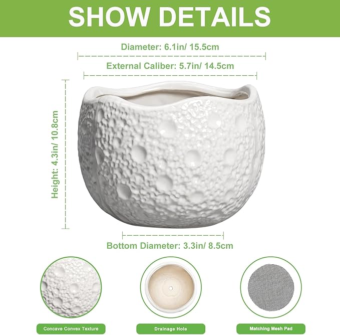 Thirtypot Ceramic Pots for Plants - 6 Inch Plant Pot for Indoor Outdoor, Decorative Orchid Pots with Drainage Hole, Unique Round Modern Planters, Home Decor, Gifts for Plant Lovers, White