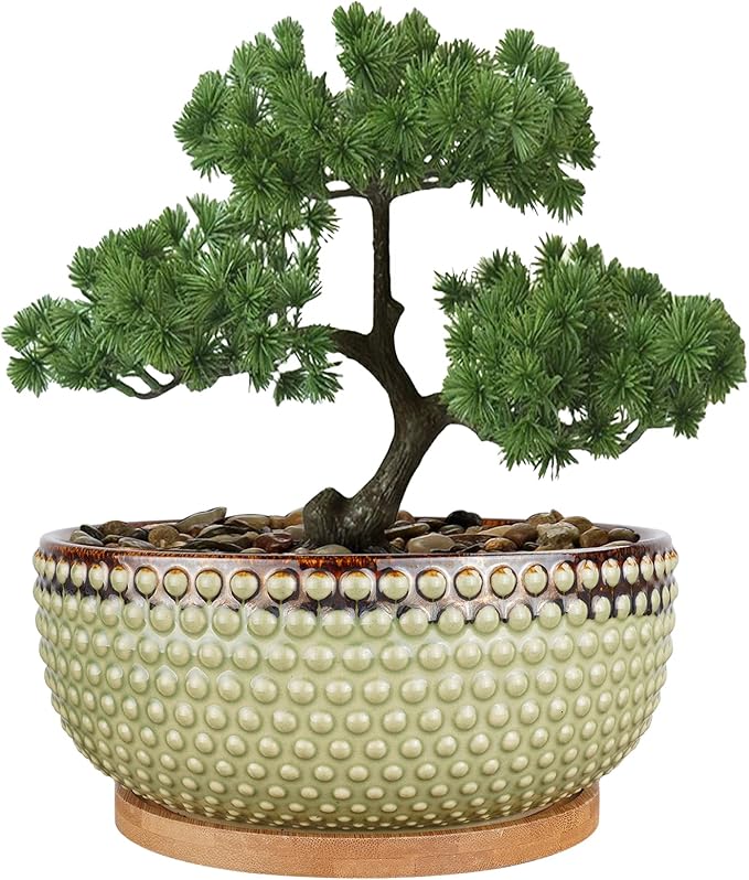 EPFamily 8 Inch Ceramic Succulent Shallow Planter Pot with Drainage Hole and Saucer Beaded Stoneware Planter for Indoor Plants Green