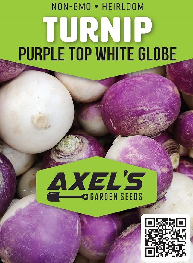 Turnip Seeds for Planting – 200 Non GMO Heirloom Purple Top Turnip Seeds – Full Planting Instructions to Plant Home Outdoor Vegetable Garden – Great Gardening Gift, 2 Packets