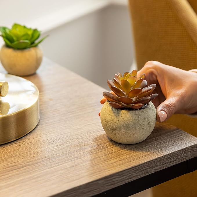Ferrisland Small Fake Potted Plants: 4 Pcs Artificial Potted Decor Set - Faux Green Eucalyptus and Mini Succulent Desk Decorations for Indoor Kitchen Room or Home Table Centerpieces