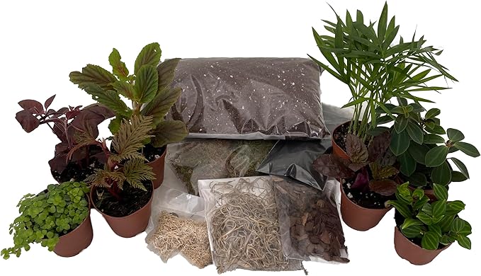 Hirt's Terrarium Kit with 8 Terrarium Plants in 2" Pots