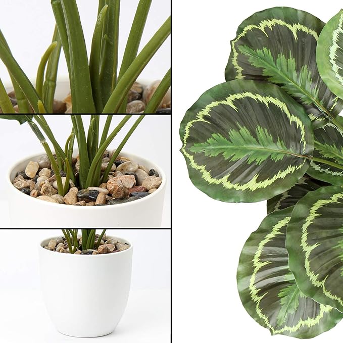 Briful 18'' Tall Fake Plant for Home Decor Artificial Calathea Plant with Large Leaves Real Touch Potted Faux Plant in White Pot for Living Room Kitcehn Bathroom Indoor Decor