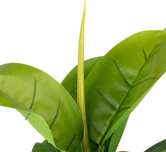 Northlight 51" Artificial Green and Brown Potted Rubber Plant