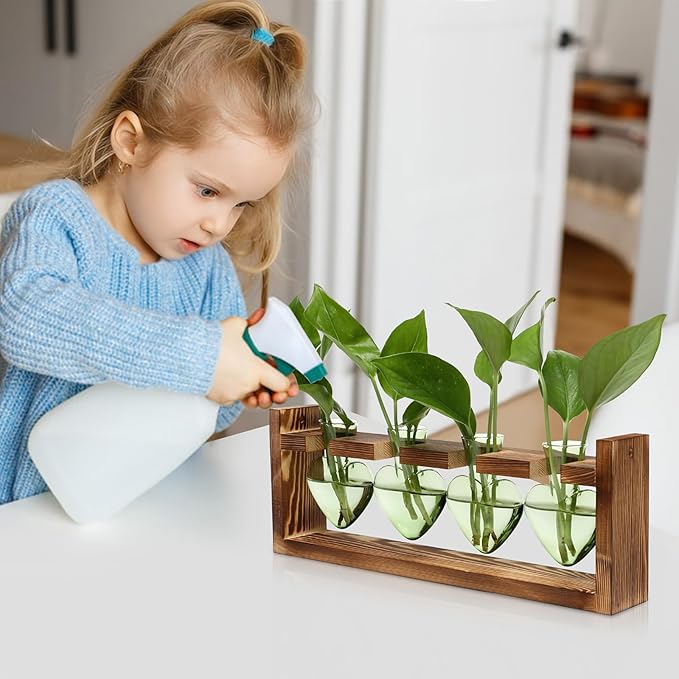 CYZglass Plant Propagation Stations Heart Plant Terrarium Kit Gift for Women Plant Lover Glass Vases