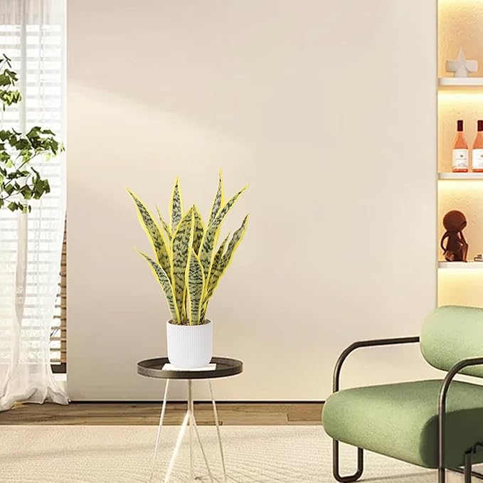 Artificial Realistic Snake Plant 21.5" with White Pot Fake Snake Plants Sansevieria Greenery Faux Snake Plant for Home Office Living Room Housewarming Gifts Indoor Decor-LightYellow