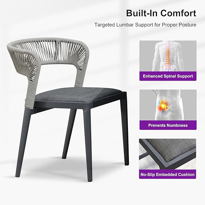 PURPLE LEAF 2 Pieces Outdoor Dining Chair All-Weather Wicker Aluminum Frame Patio Dining Chair for Lawn Garden Backyard Deck with Cushion, Gray