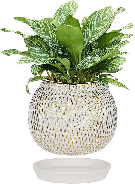 Ceramic Plant Pots for Plants Indoor 6.1 Inch Round Gold and White Flower Pot Gilded Decorative Planter with Drainage Hole and Saucer Modern Ceramic Pot for Succulents Orchids Cactus Herbs Home Decor