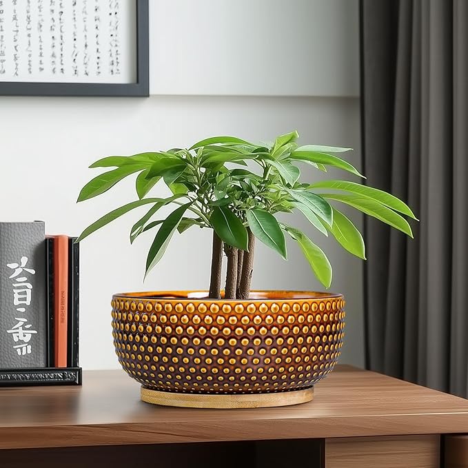 EPFamily Bonsai Pots - 8 Inch Succulent Bowl for Indoor Plant, Shallow Round Ceramic Planters with Drainage Hole and Saucer, Boho Home Room Office Apartment Decor, Plant Lovers Gifts, Brown