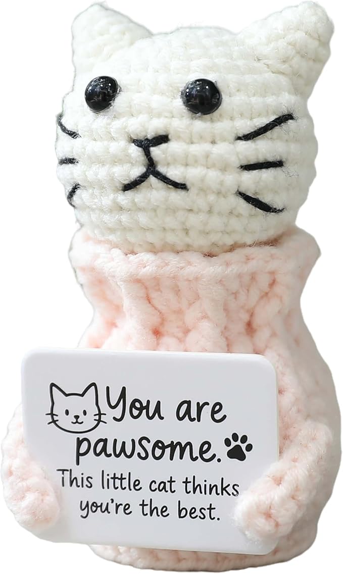 YOOJEE Positive Crochet Cat Animals Valentines Day Gifts for Teacher Women Coworker Gifts for Women Sister Daughter Kid – “You are Pawsome” Emotional Inspirational Support Birthday Thank You Gift