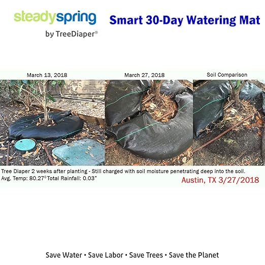 SteadySpring® 24" Smart 30+Day Tree Watering Mat - AUTO Refills with RAIN and Slow Releases As Plant Needs - for Root Balls 11" - 15" Dia Slow Release Technology Prevents Over and Under Watering (24)