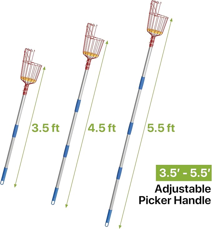 Fruit Picker Tool 6 ft, Extendable Fruit Picker Pole with Basket Telescoping, Apple Fruit Tree Picker Pole with Stainless Steel Pole for Mango, Orange, Fig, Lemon